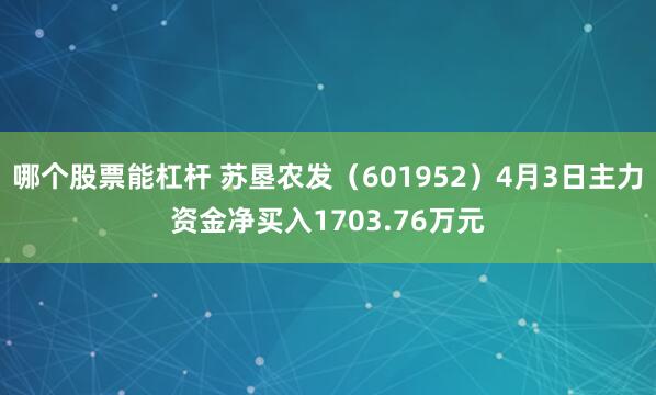 哪个股票能杠杆 苏垦农发（601952）4月3日主力资金净买入1703.76万元