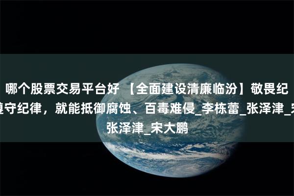 哪个股票交易平台好 【全面建设清廉临汾】敬畏纪律、遵守纪律，就能抵御腐蚀、百毒难侵_李栋蕾_张泽津_宋大鹏