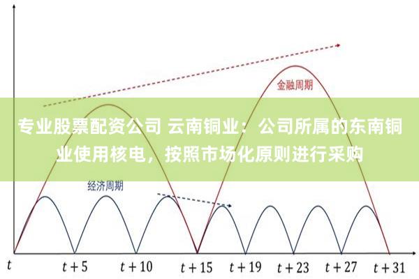 专业股票配资公司 云南铜业：公司所属的东南铜业使用核电，按照市场化原则进行采购