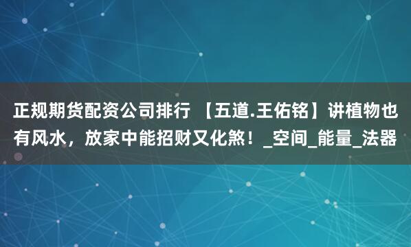 正规期货配资公司排行 【五道.王佑铭】讲植物也有风水，放家中能招财又化煞！_空间_能量_法器
