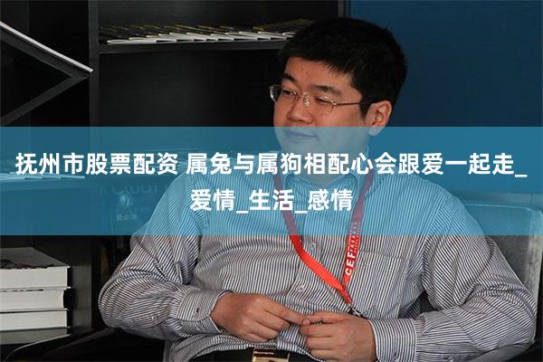 抚州市股票配资 属兔与属狗相配心会跟爱一起走_爱情_生活_感情
