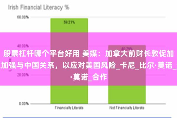 股票杠杆哪个平台好用 美媒：加拿大前财长敦促加拿大加强与中国关系，以应对美国风险_卡尼_比尔·莫诺_合作