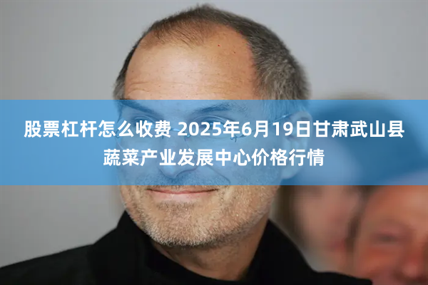 股票杠杆怎么收费 2025年6月19日甘肃武山县蔬菜产业发展中心价格行情