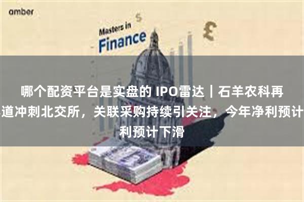 哪个配资平台是实盘的 IPO雷达｜石羊农科再换赛道冲刺北交所，关联采购持续引关注，今年净利预计下滑