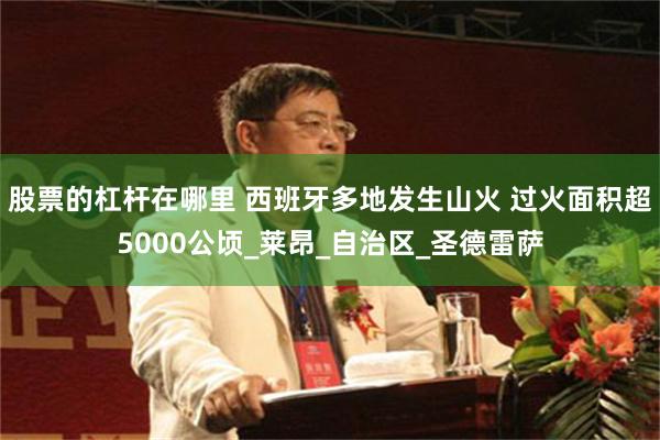 股票的杠杆在哪里 西班牙多地发生山火 过火面积超5000公顷_莱昂_自治区_圣德雷萨