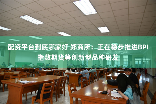 配资平台到底哪家好 郑商所：正在稳步推进BPI指数期货等创新型品种研发