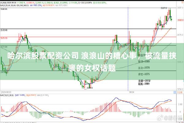 哈尔滨股票配资公司 浪浪山的糟心事，被流量挟裹的女权话题