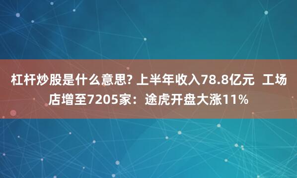 杠杆炒股是什么意思? 上半年收入78.8亿元  工场店增至7205家：途虎开盘大涨11%