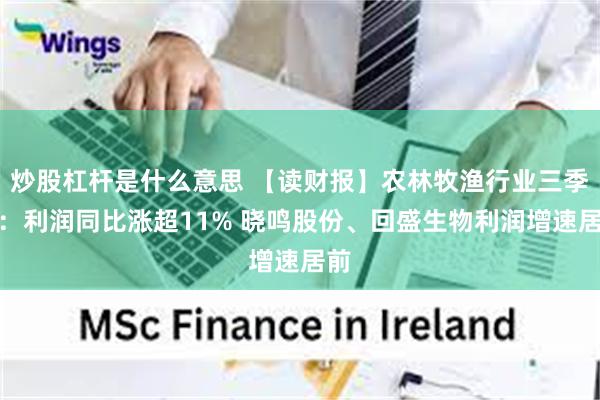 炒股杠杆是什么意思 【读财报】农林牧渔行业三季报：利润同比涨超11% 晓鸣股份、回盛生物利润增速居前