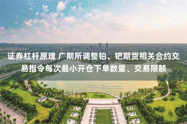 证券杠杆原理 广期所调整铂、钯期货相关合约交易指令每次最小开仓下单数量、交易限额